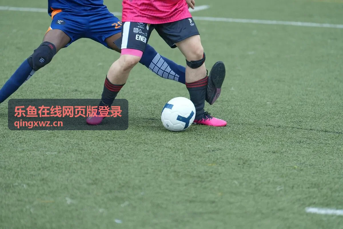 乐鱼在线网页版登录使用指南资源卡片封面